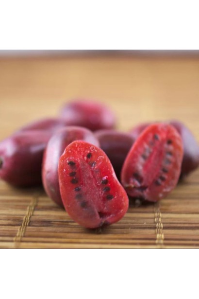 Плоди Актинідії Кенс Ред 